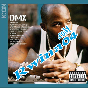 DMX-Icon-2012-CR